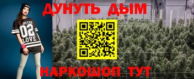 крисы Ливны