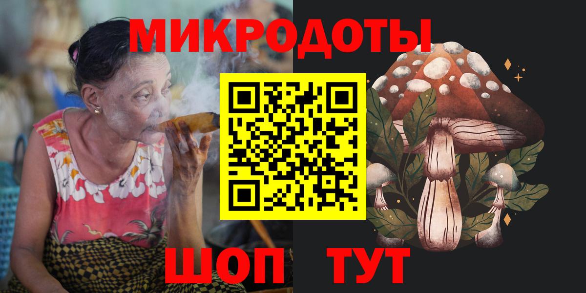Псилоцибиновые грибы Psilocybine cubensis Зерноград
