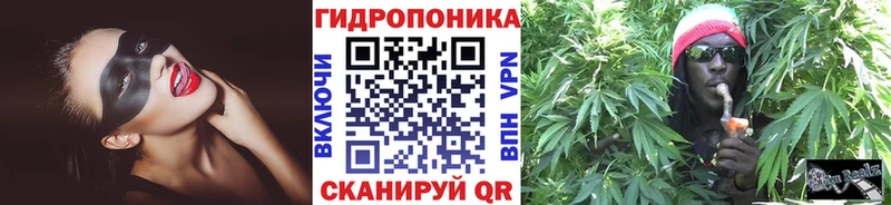 Конопля AK-47  Зерноград 